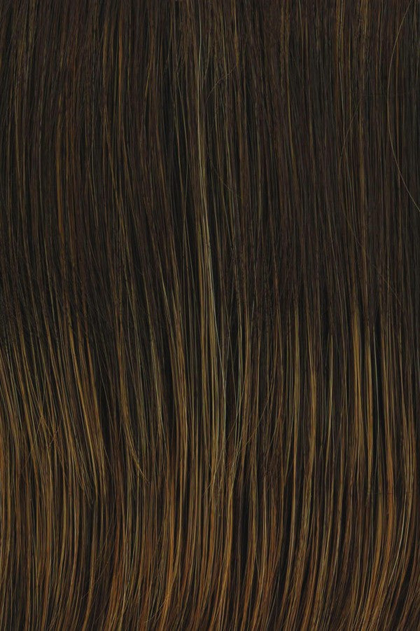 Raquel Welch Wigs Color - RL6/28 BRONZED SABLE